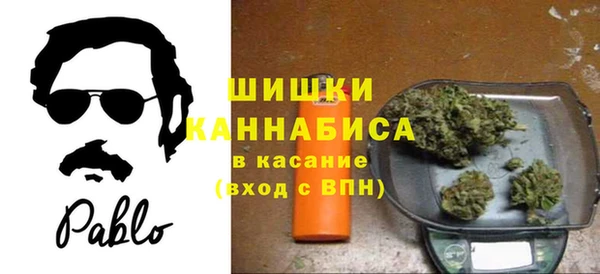 твердый Алзамай