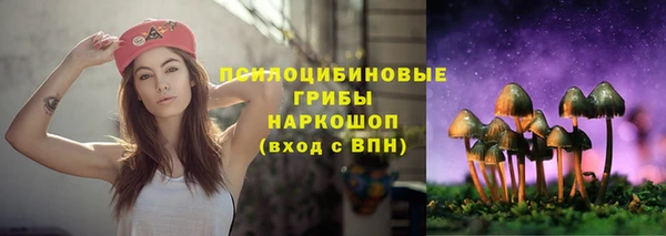 твердый Алзамай