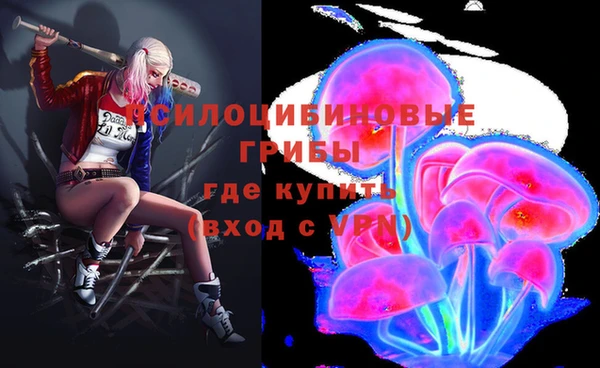 твердый Алзамай