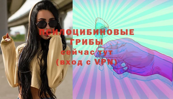 ECSTASY Алексин