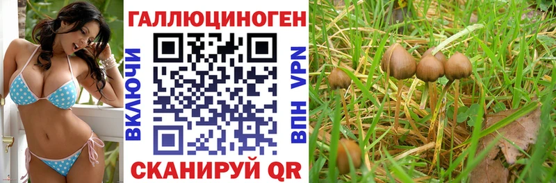 цена наркотик  Ярцево  гидра вход  Галлюциногенные грибы прущие грибы 