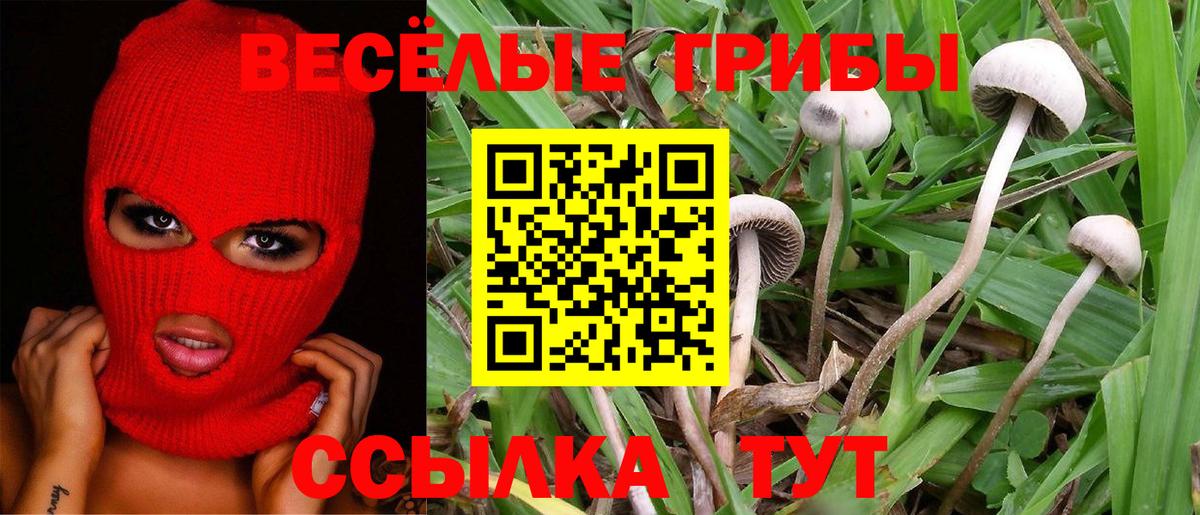 Ярцево  закладка  Галлюциногенные грибы MAGIC MUSHROOMS  Вход с VPN  Псилоцибиновые грибы Magic Shrooms 